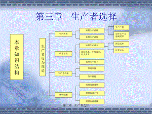 【精品】第三章 生产者选择