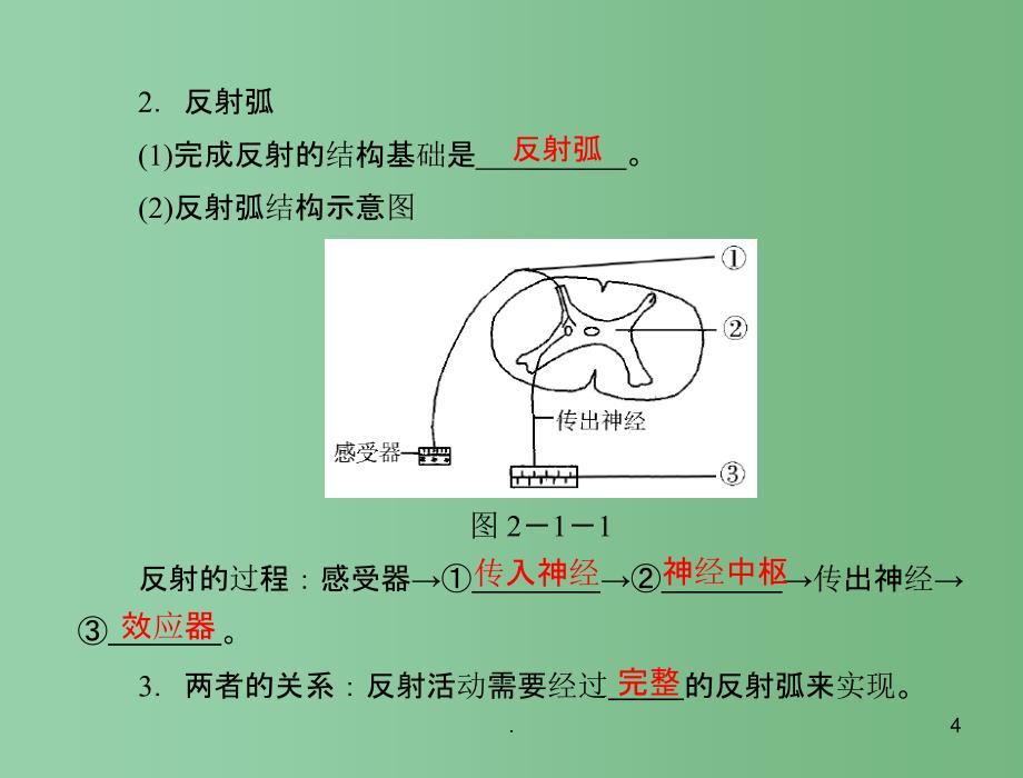 高中生物 第2章 第1节 通过神经系统的调节课件 文 新人教版必修3 新课标_第4页