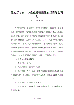 设立界首市中小企业投资担保有限责任公司的可行性报告(经典实用)