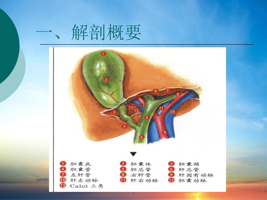 《胆囊结石王浩龙》_第4页