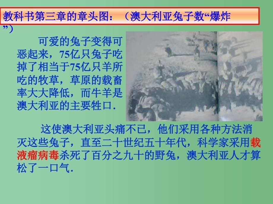 高中数学教学课件 几类不同增长的函数模型1课件 新人教A版必修1_第5页