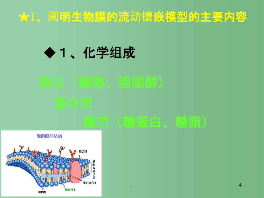 高中生物 第2节生物膜的流动镶嵌模型课件2 新人教版必修1_第4页