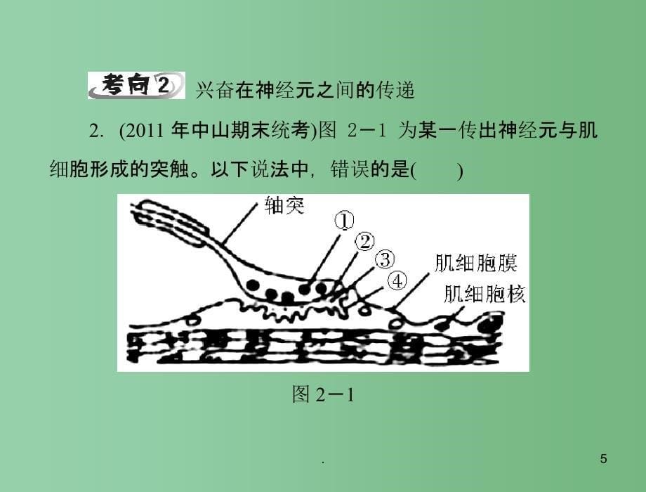 高中生物 第2章 本章知识提升课件 理 新人教版必修3_第5页