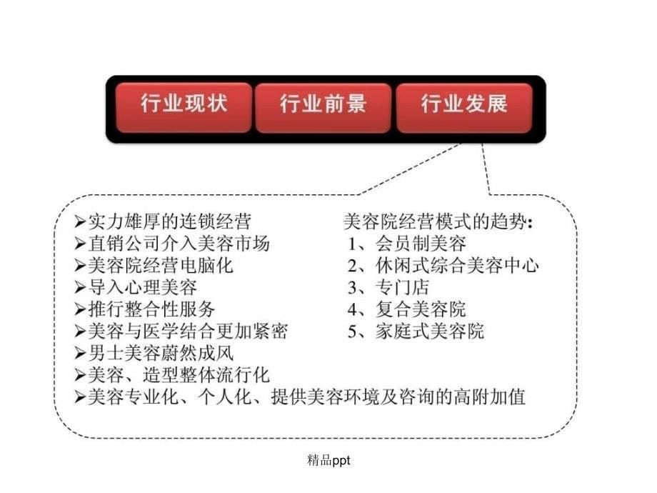 《美容美体行业分析》_第5页