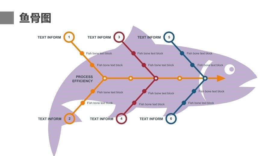 各类型鱼骨图 -质量工具培训范例_第5页