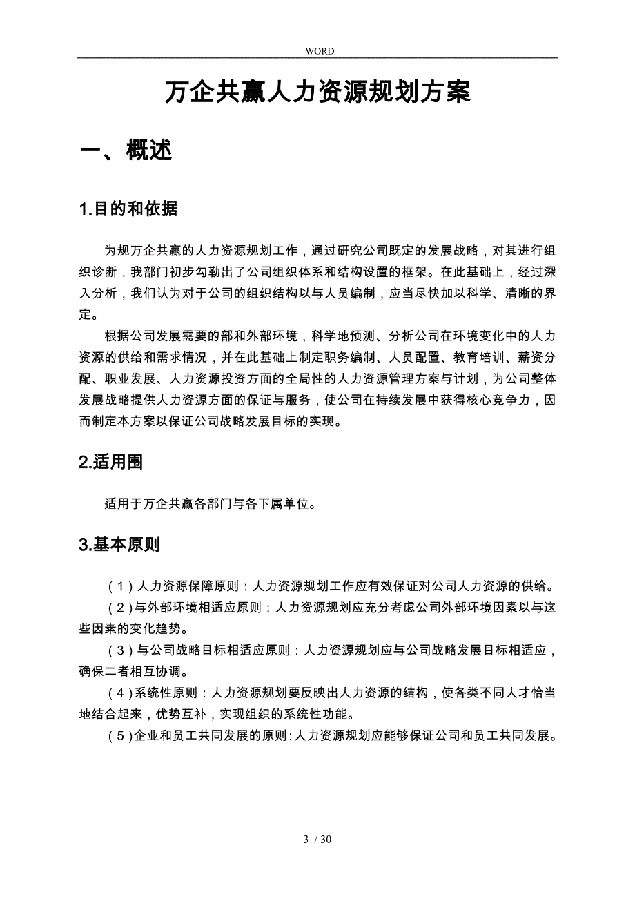 公司人力资源规划方案HR猫猫_第3页