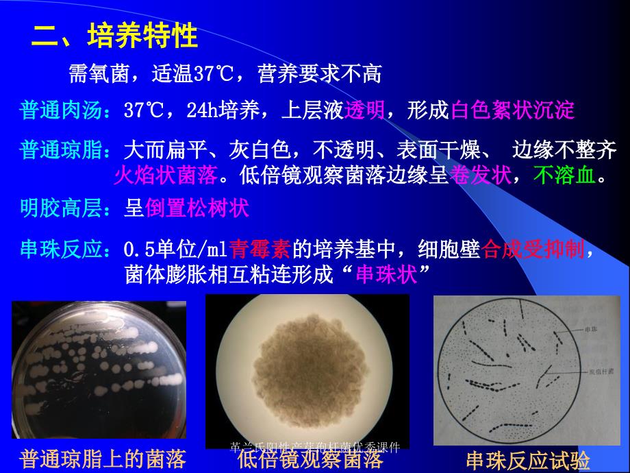 革兰氏阳性产芽孢杆菌优秀课件_第3页