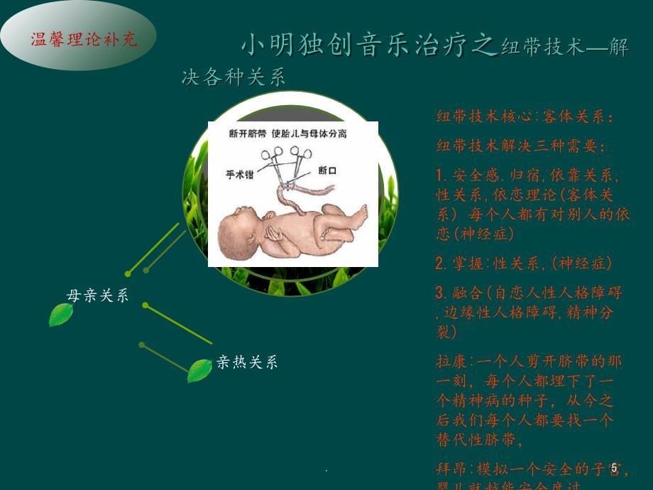 2021年自闭症儿童音乐治疗---赵小明ppt课件_第5页