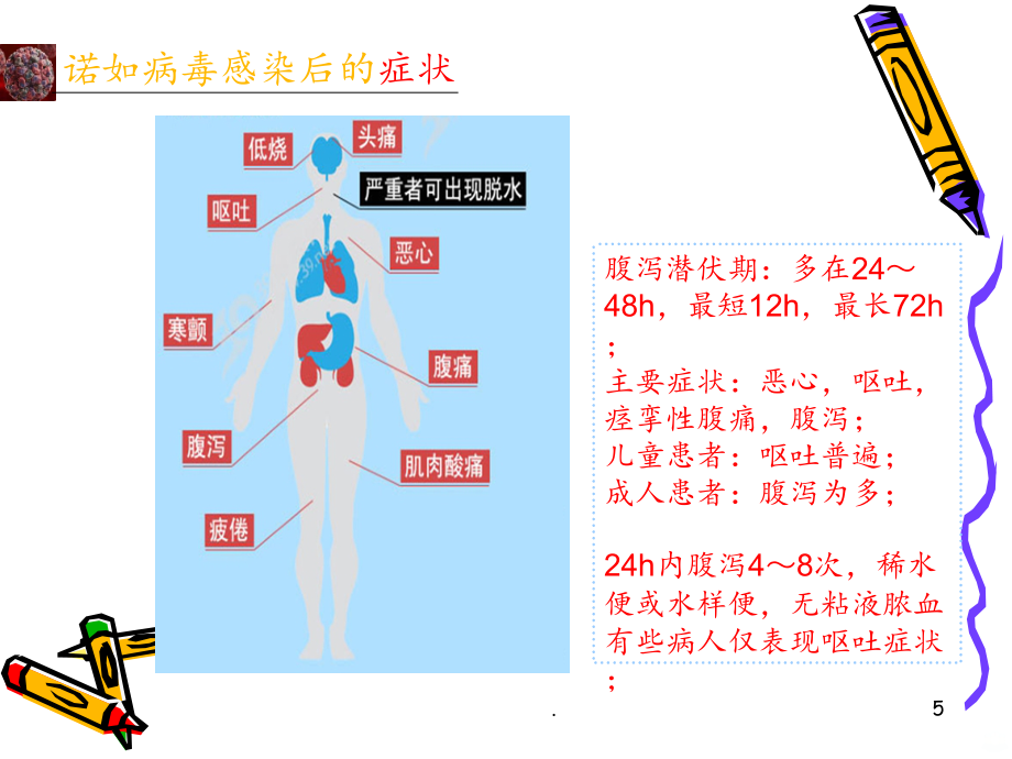 2021年诺如病毒感染性腹泻防控(1)ppt课件_第5页