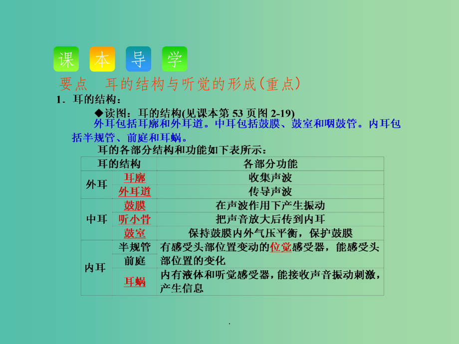 2021年七年级科学下册 2.3 第1课时 耳的结构与听觉的形成 浙教版_第3页