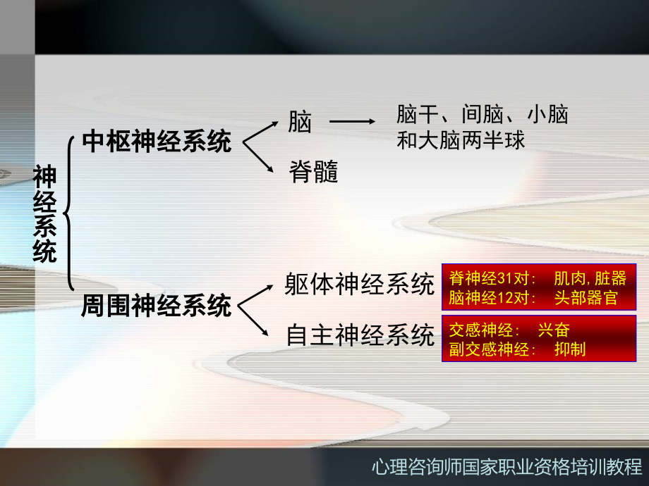 心理咨询师PPT课件基础心理学2_第4页