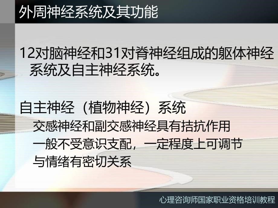 心理咨询师PPT课件基础心理学2_第5页