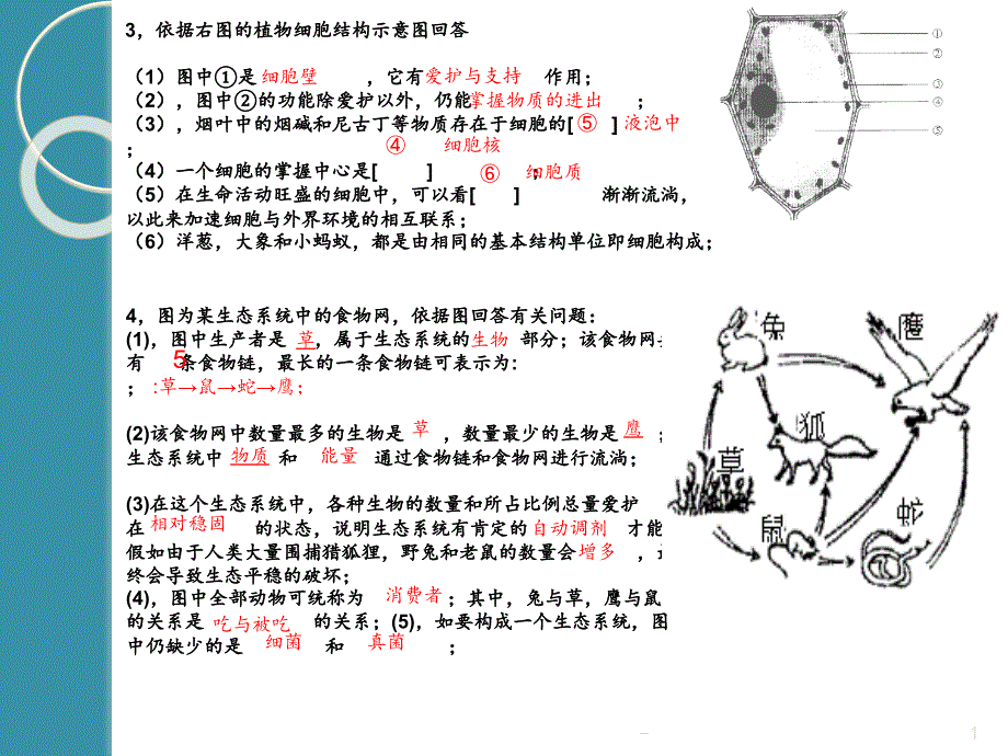 2021年七年级生物上册复习识图题PPT课件_第1页