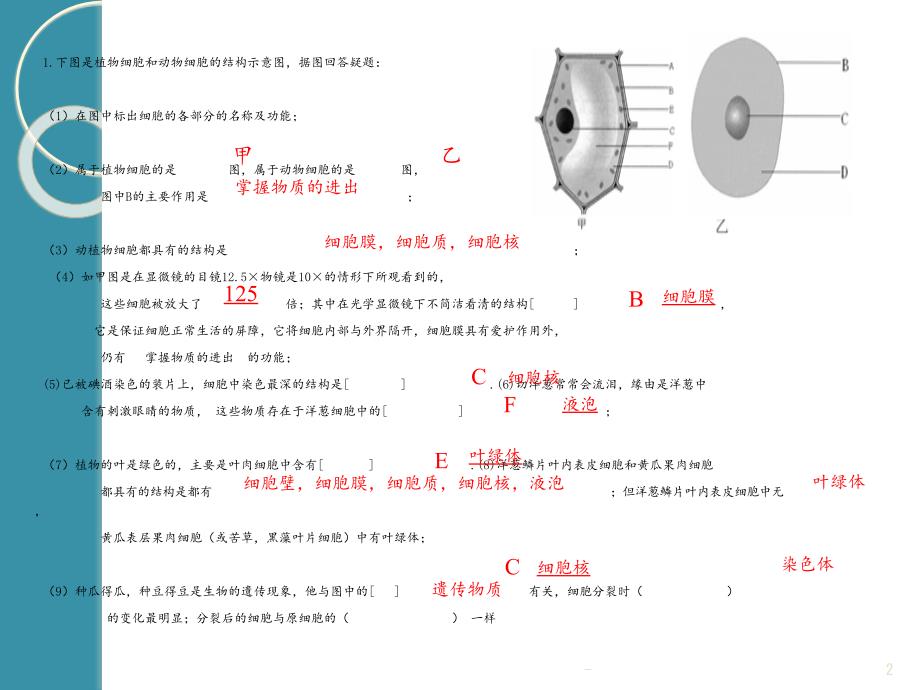 2021年七年级生物上册复习识图题PPT课件_第2页