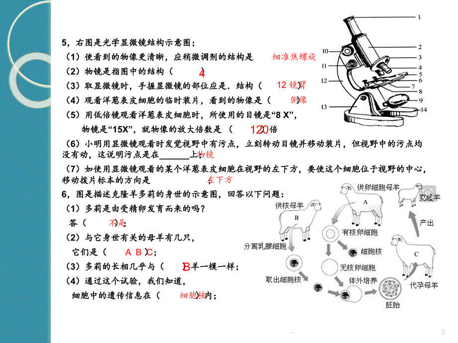 2021年七年级生物上册复习识图题PPT课件_第3页