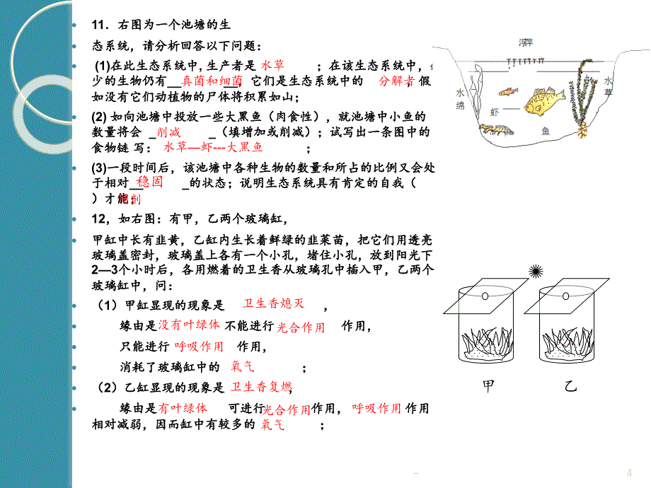 2021年七年级生物上册复习识图题PPT课件_第4页