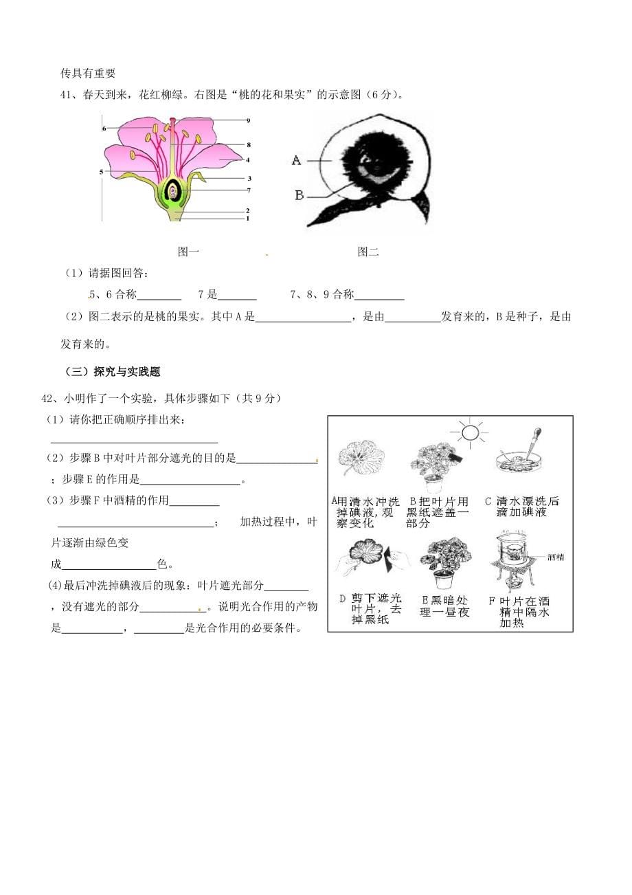 甘肃省金昌市金川集团公司龙门学校七年级生物上学期期末考试试题(无答案) 试题_第5页