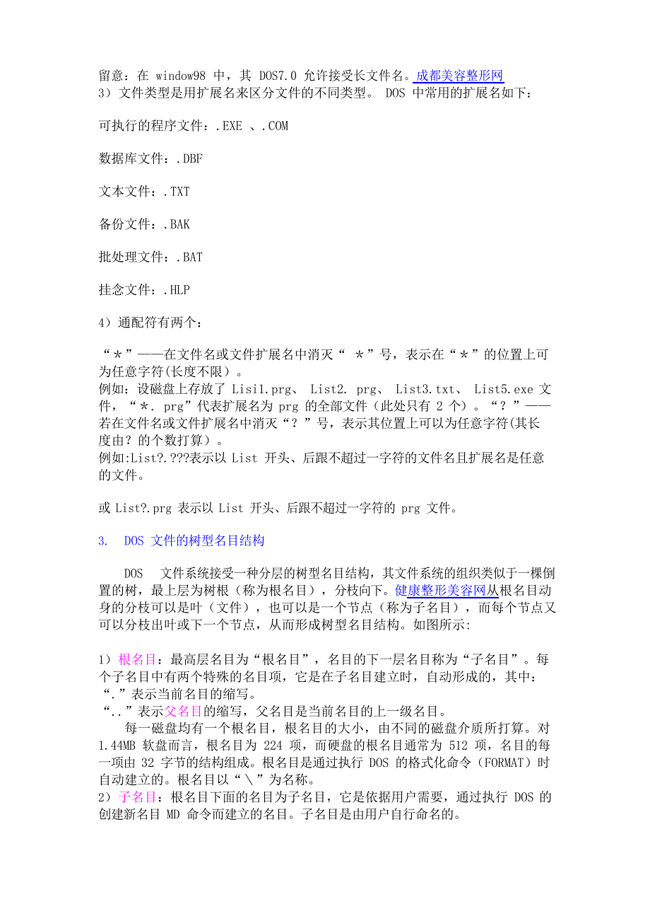 MS-DOS系统简介模版_第2页