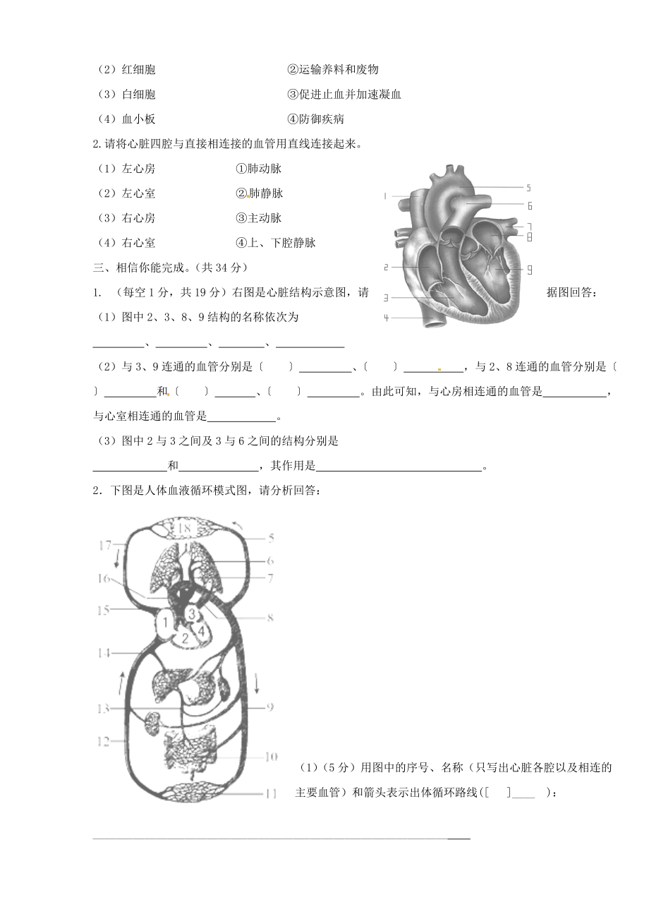 甘肃省静宁县城关2014 2015学年七年级生物下学期期中试题(无答案) 新人教版_第4页