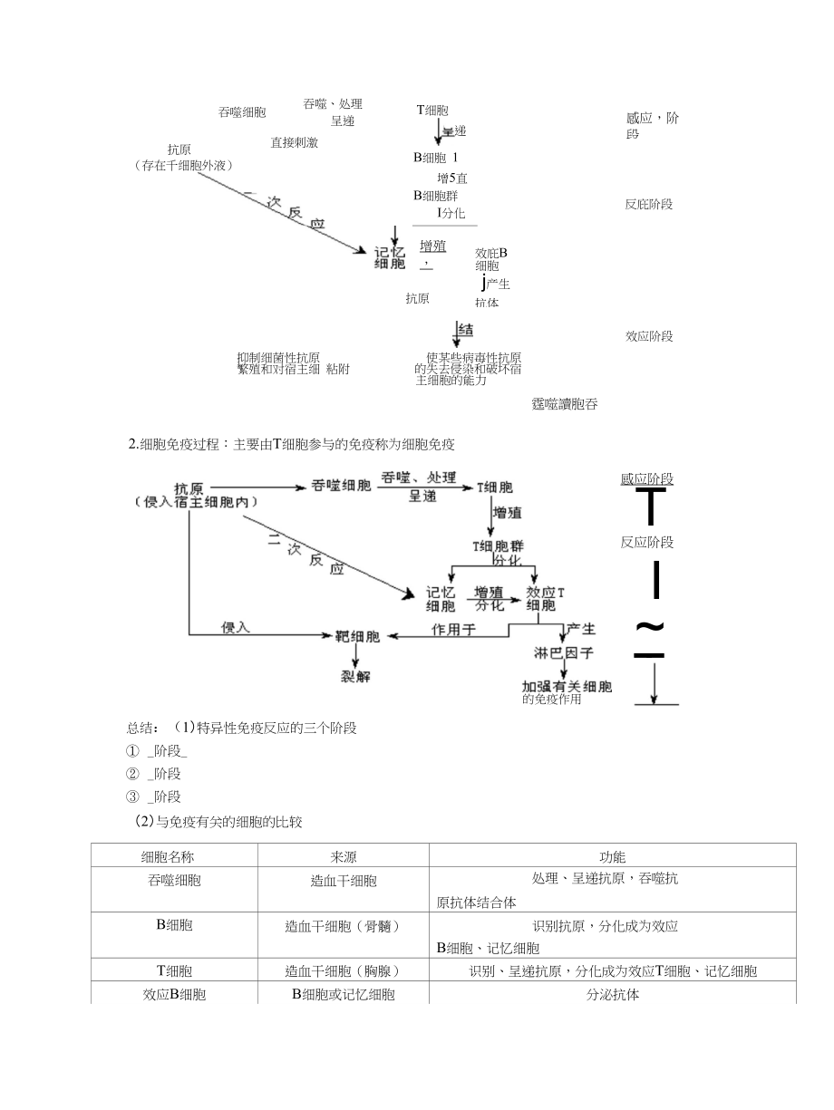 与免疫有关知识总结_第2页