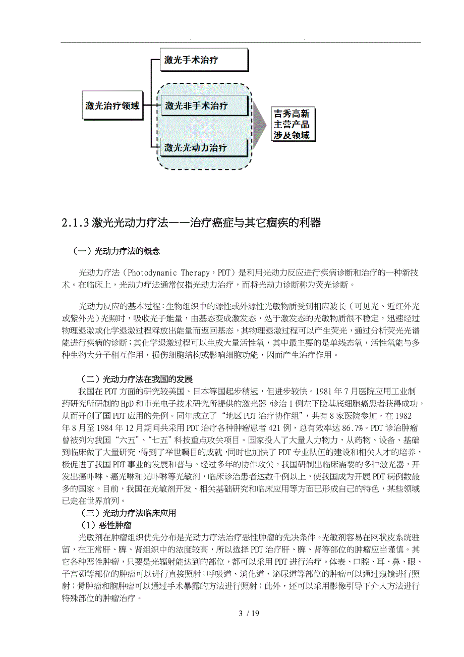 高新技术股份公司商业实施计划书_第3页