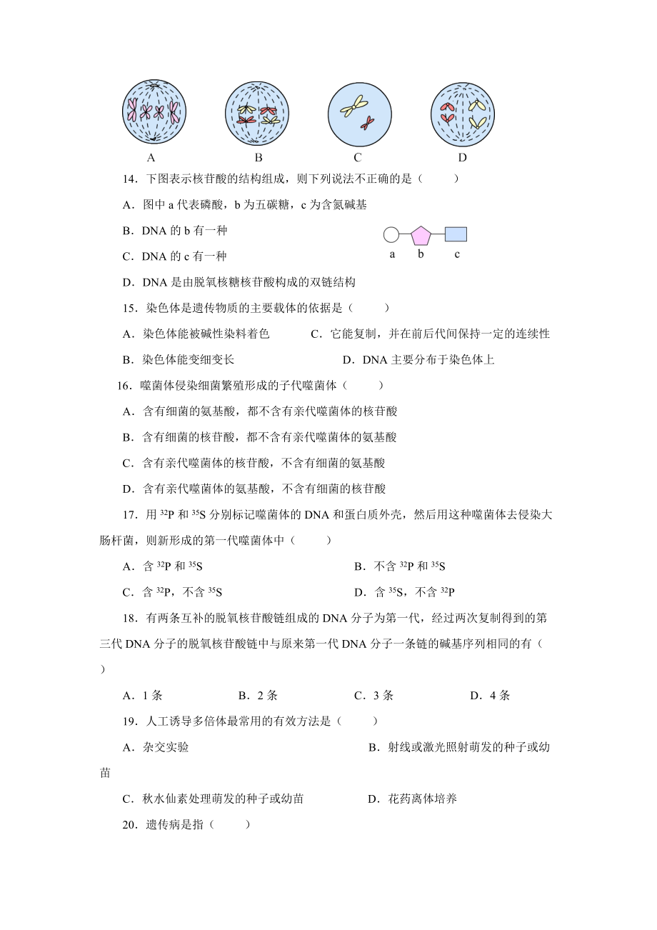 基因表达与变异_第3页