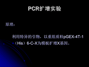 【精品】PCR扩增实验