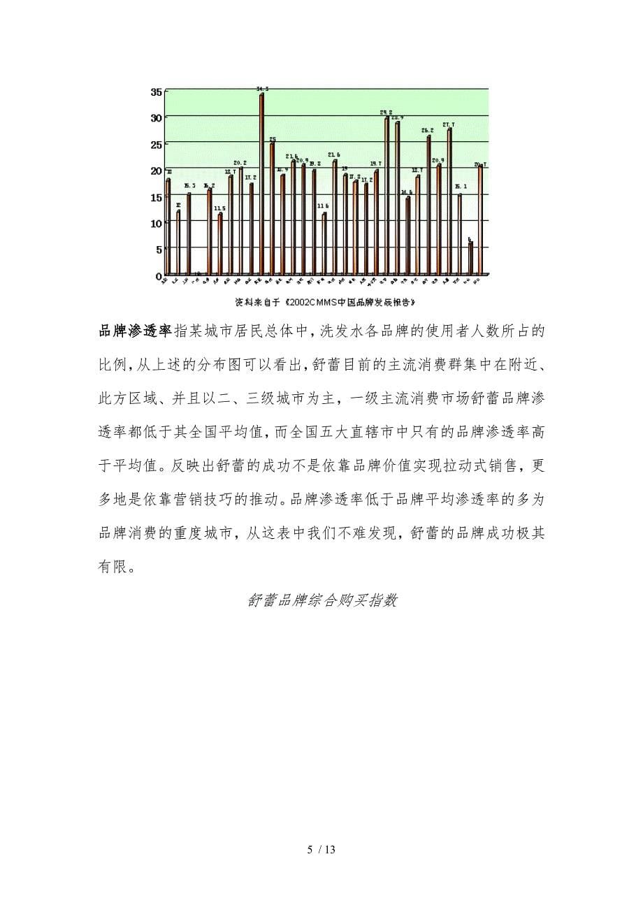 某年度舒蕾品牌发展报告与策略建议_第5页