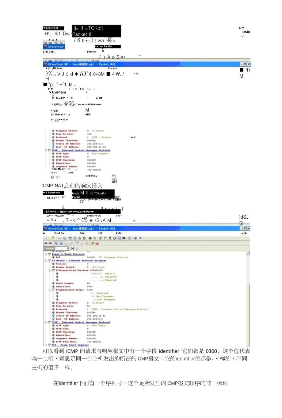 NAT转换对ICMP(PING)_协议的处理_第5页