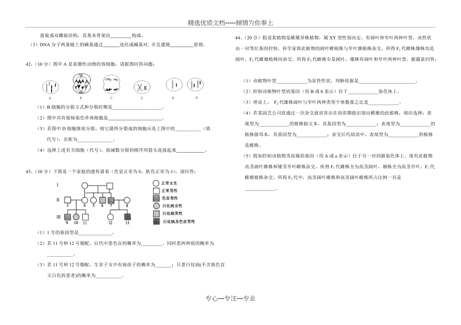 人教版高中生物必修2期中试题及答案(共5页)_第4页