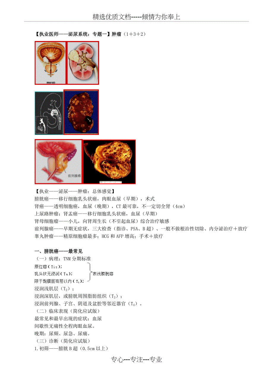 2017年执业医师考试重点-泌尿系统(共29页)_第3页
