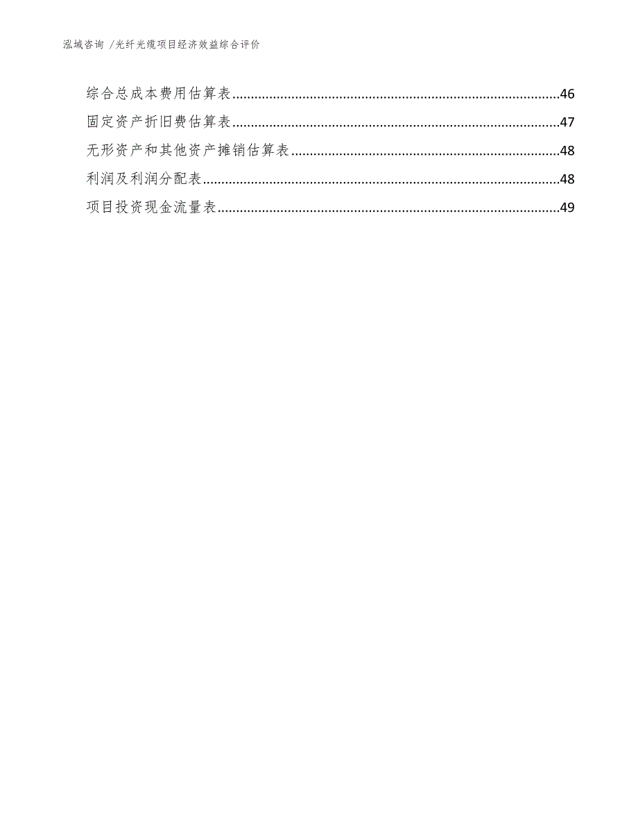 光纤光缆项目经济效益综合评价（模板）_第4页