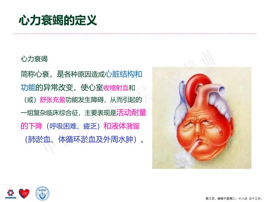 基层医师培训项目指定培训教材(powerpoint 45页)_第3页