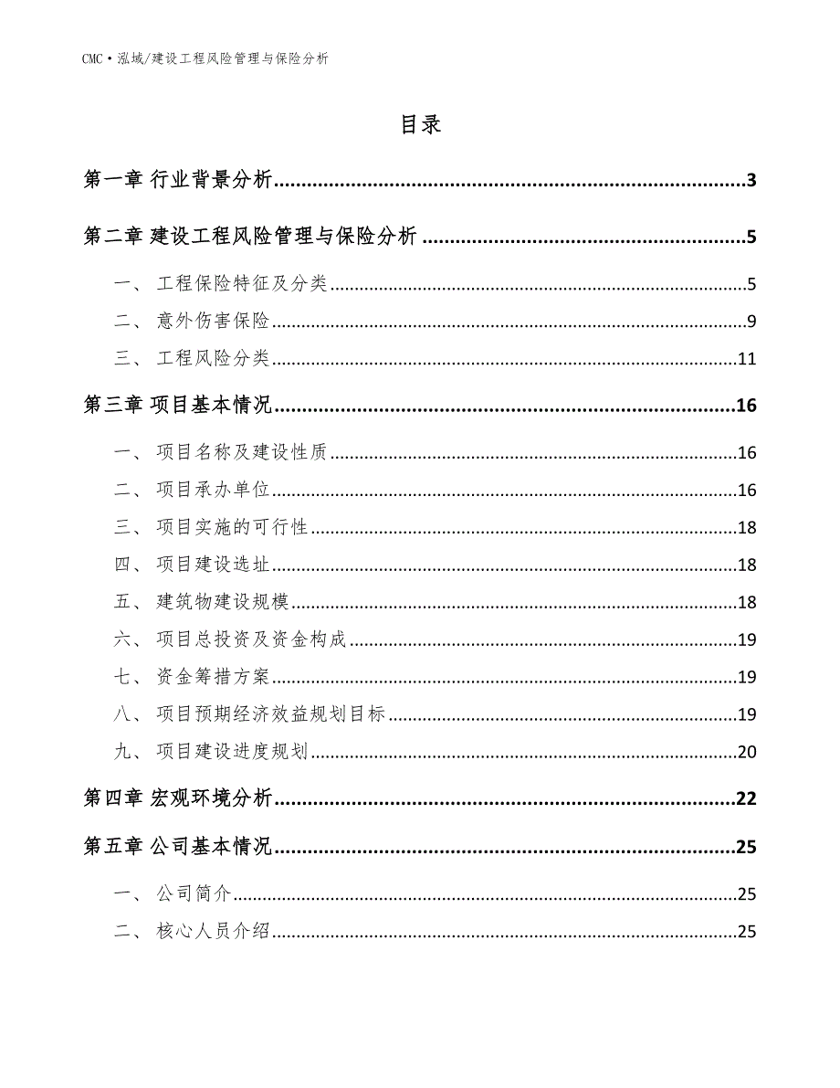 煤矸石公司建设工程风险管理与保险分析（范文）_第2页