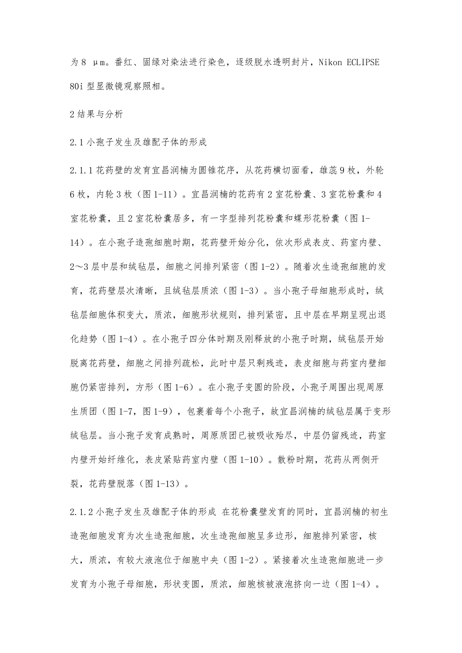 宜昌润楠大、小孢子发生及雌、雄配子体发育的研究_第4页