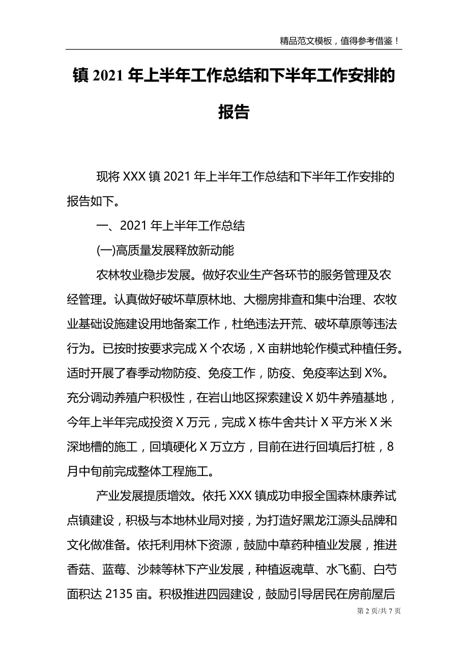 镇2021年上半年工作总结和下半年工作安排的报告_第2页