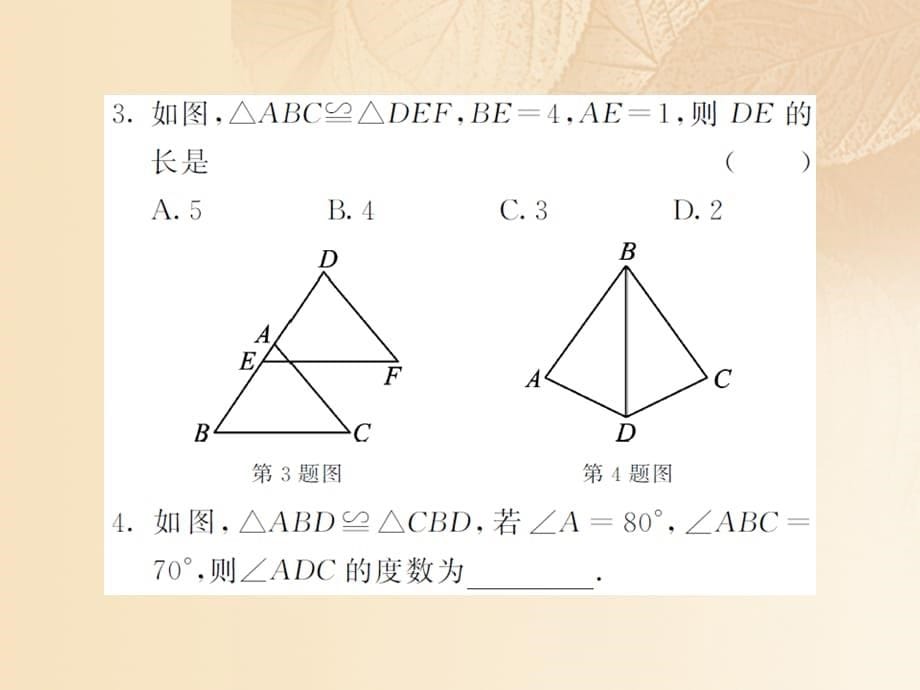 八年级数学上册第2章三角形2.5全等三角形第1课时全等三角形及其性质习题优质课件（新版）湘教版_第5页