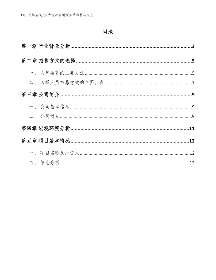 苏打水项目人力资源费用预算的审核与支出（模板）_第2页