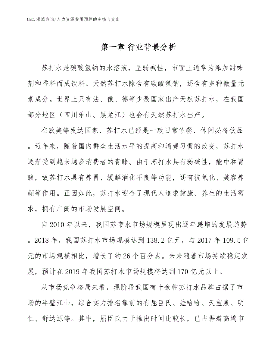 苏打水项目人力资源费用预算的审核与支出（模板）_第3页