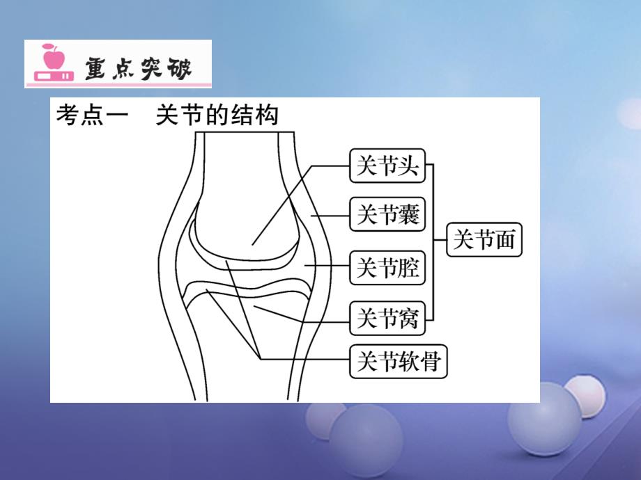 八年级生物上册第五单元第二、三章章末小结优质课件（新版）新人教版_第4页