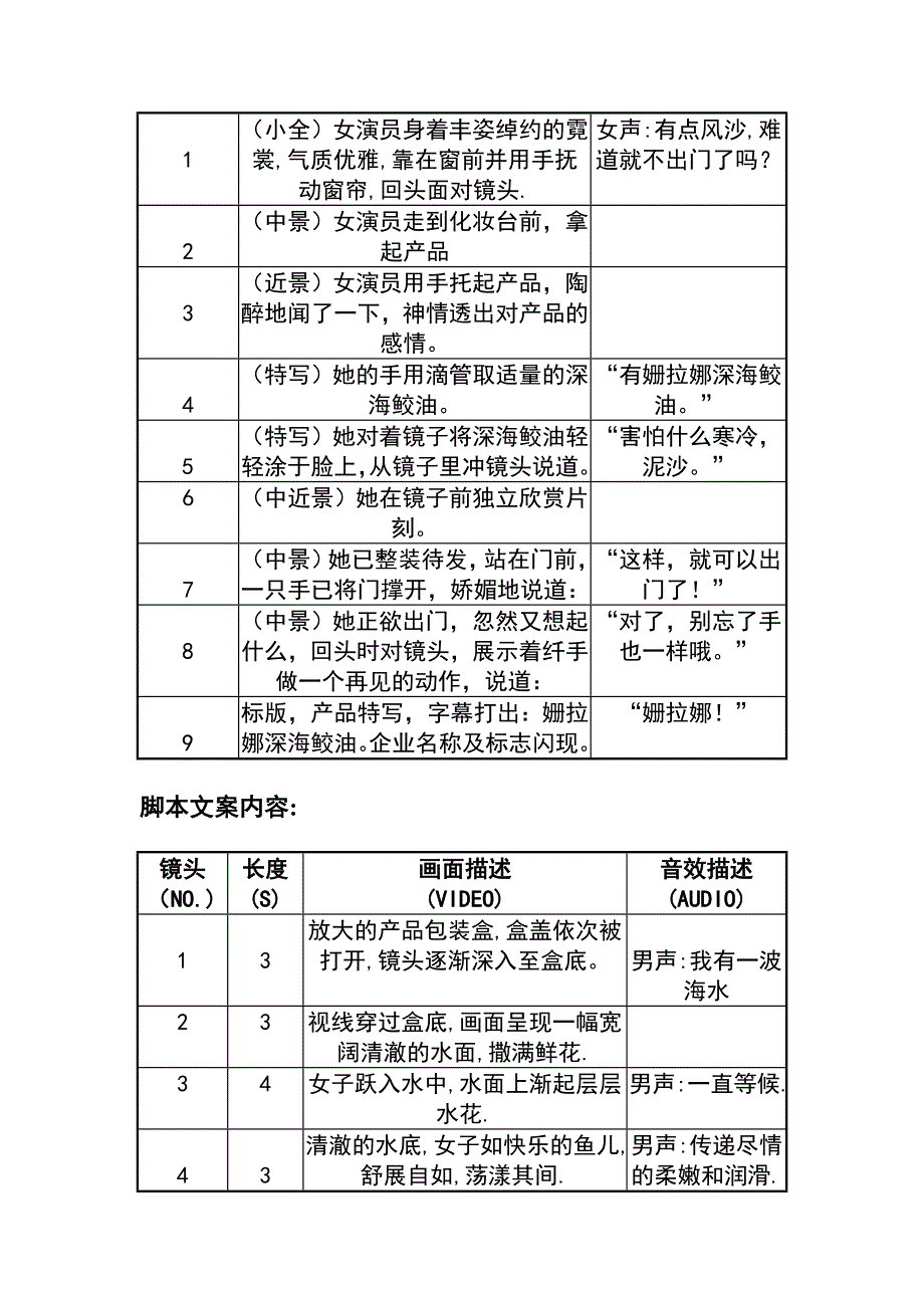 463 姗拉娜企业集团30”CF广告创意_第2页