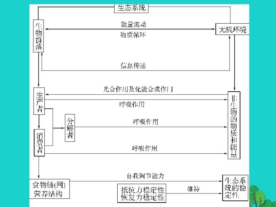 高三生物一轮复习第五章生态系统的结构（第1课时）精品优质课件（必修3）_第5页