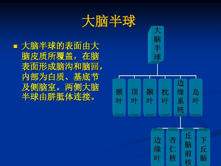 大脑半球病损表现及定位(2)[精选]_第2页