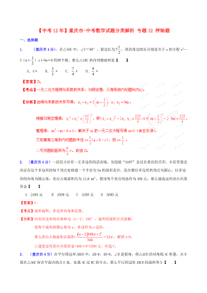 （整理版）重庆市中考数学试题分类解析专题12押轴题