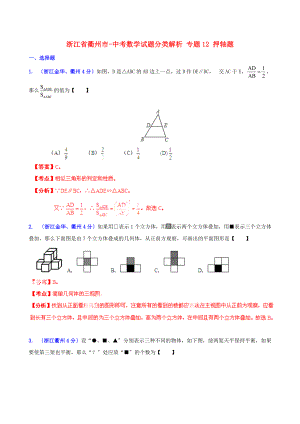 （整理版）浙江省衢州市中考数学试题分类解析专题12押轴题