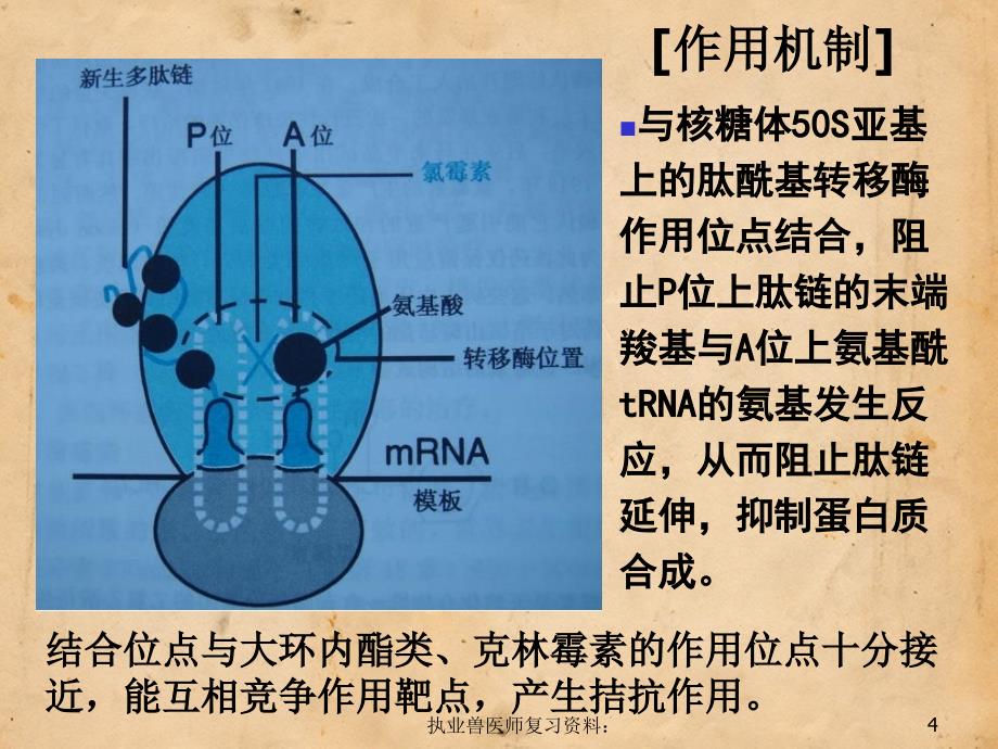 12章抗微生物药3（执业兽医师复习资料）_第4页