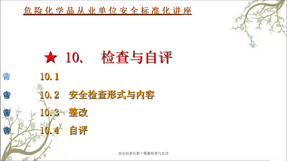 安全标准化第十要素检查与自评PPT课件_第1页