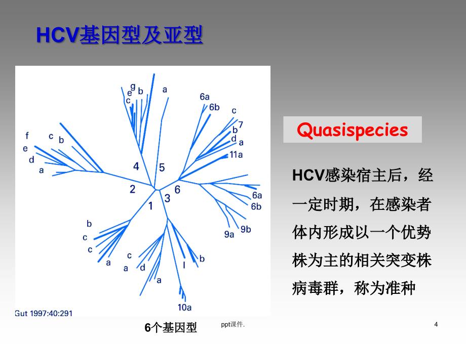 HCV核心抗原检测ppt课件_第4页