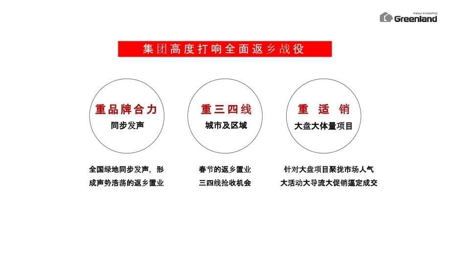 2020年绿地集团新春返乡置业执行（策略活动包装）_第5页