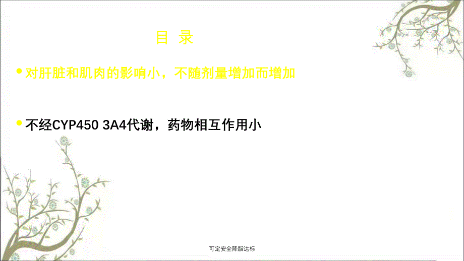 可定安全降脂达标PPT课件_第2页